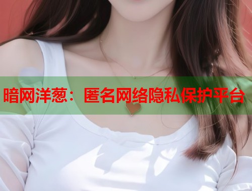 暗网洋葱：匿名网络隐私保护平台  第1张