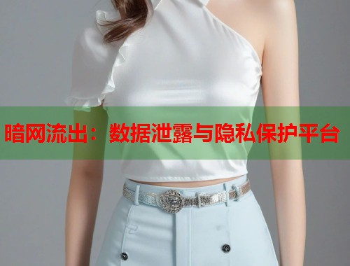 暗网流出：数据泄露与隐私保护平台  第2张
