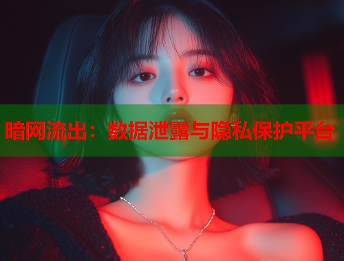 暗网流出：数据泄露与隐私保护平台  第1张