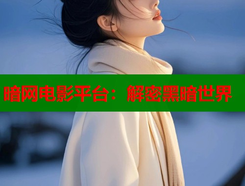 暗网电影平台：解密黑暗世界  第2张