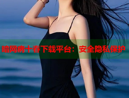 暗网病十春下载平台：安全隐私保护  第1张