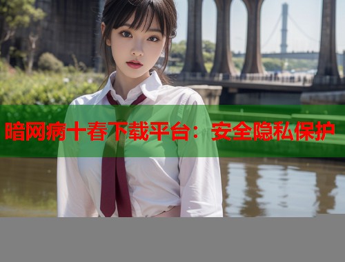 暗网病十春下载平台：安全隐私保护  第2张
