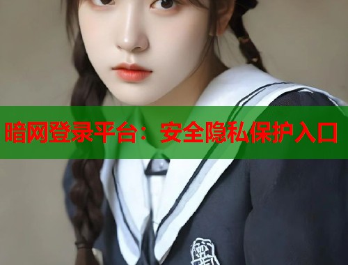 暗网登录平台：安全隐私保护入口