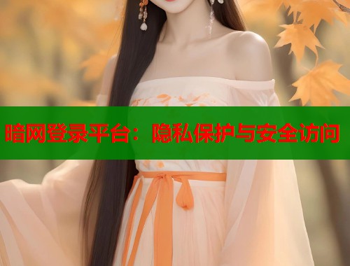 暗网登录平台：隐私保护与安全访问
