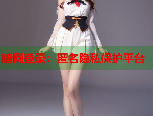 暗网登录：匿名隐私保护平台  第2张