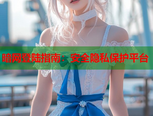 暗网登陆指南：安全隐私保护平台