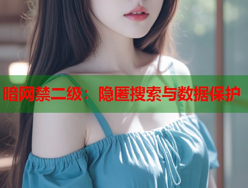 暗网禁二级：隐匿搜索与数据保护  第1张
