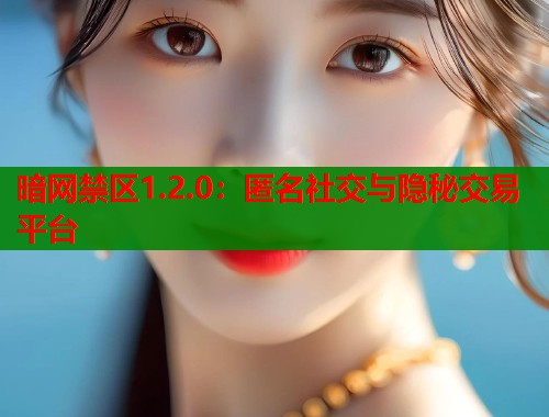 暗网禁区1.2.0：匿名社交与隐秘交易平台  第1张