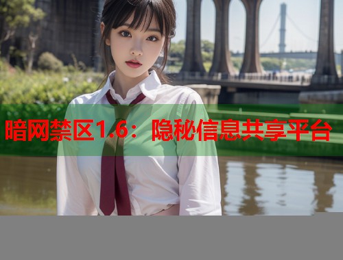 暗网禁区1.6：隐秘信息共享平台  第2张