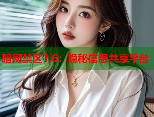 暗网禁区1.6：隐秘信息共享平台  第1张