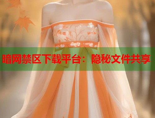 暗网禁区下载平台：隐秘文件共享  第2张