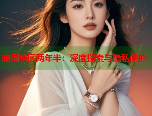 暗网禁区两年半：深度探索与隐私保护