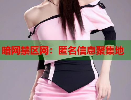 暗网禁区网：匿名信息聚集地  第1张
