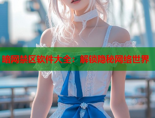 暗网禁区软件大全：解锁隐秘网络世界  第1张