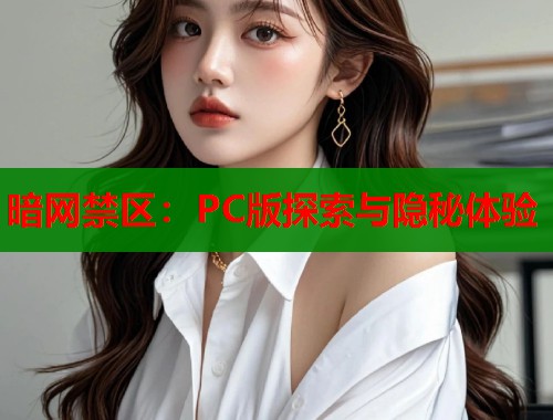 暗网禁区：PC版探索与隐秘体验