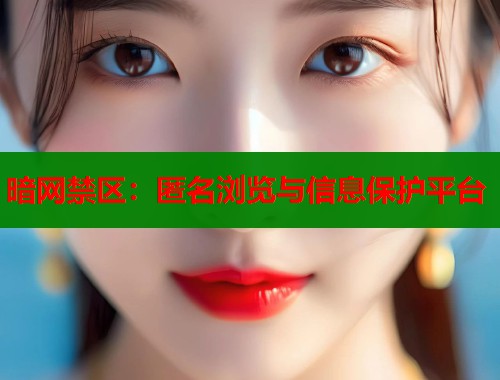 暗网禁区：匿名浏览与信息保护平台