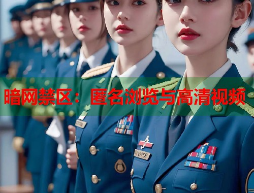 暗网禁区：匿名浏览与高清视频  第1张