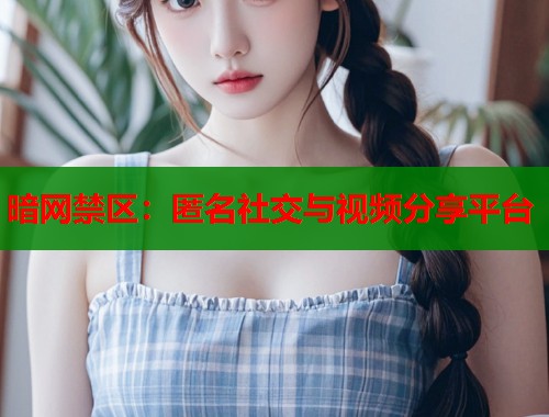 暗网禁区：匿名社交与视频分享平台  第1张