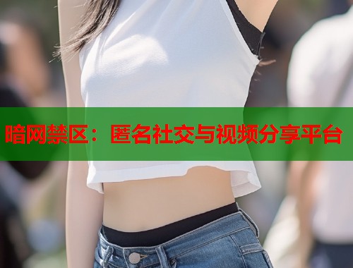 暗网禁区：匿名社交与视频分享平台  第2张