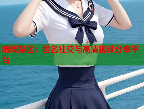 暗网禁区：匿名社交与高清视频分享平台  第1张