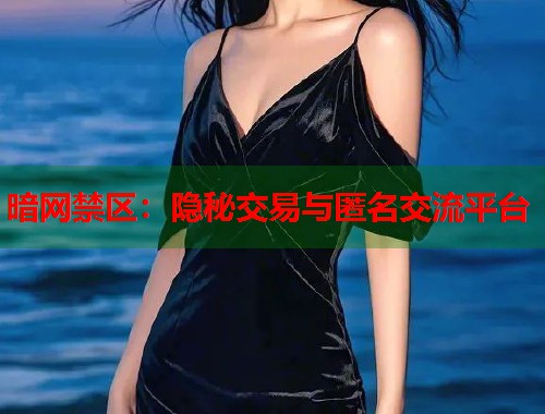 暗网禁区：隐秘交易与匿名交流平台  第1张