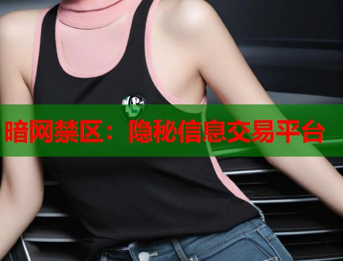 暗网禁区：隐秘信息交易平台  第1张