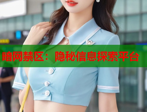 暗网禁区：隐秘信息探索平台  第2张