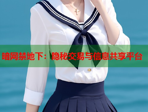 暗网禁地下：隐秘交易与信息共享平台