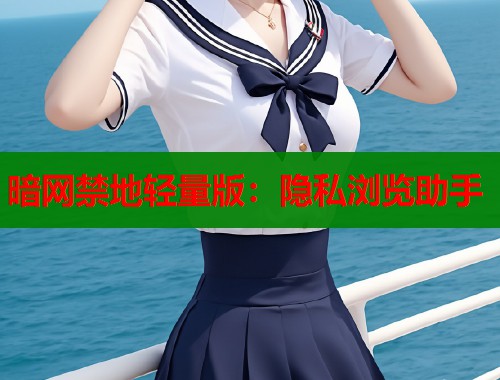 暗网禁地轻量版：隐私浏览助手