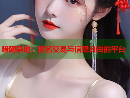 暗网禁地：匿名交易与信息自由的平台
