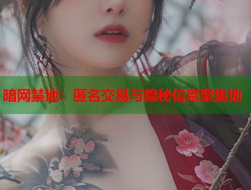 暗网禁地：匿名交易与隐秘信息聚集地  第2张