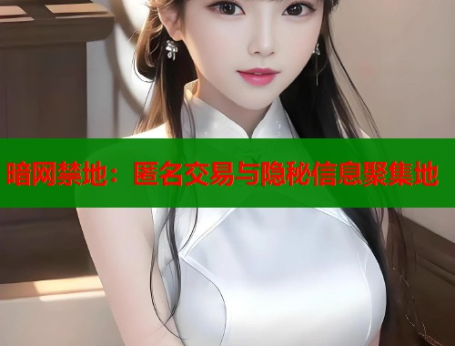 暗网禁地：匿名交易与隐秘信息聚集地  第1张