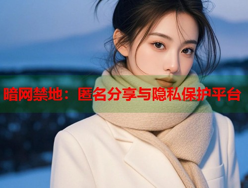 暗网禁地：匿名分享与隐私保护平台