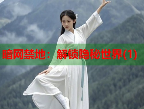 暗网禁地：解锁隐秘世界(1)