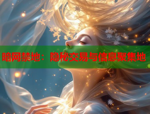 暗网禁地：隐秘交易与信息聚集地