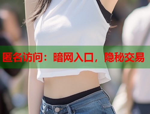 匿名访问：暗网入口，隐秘交易