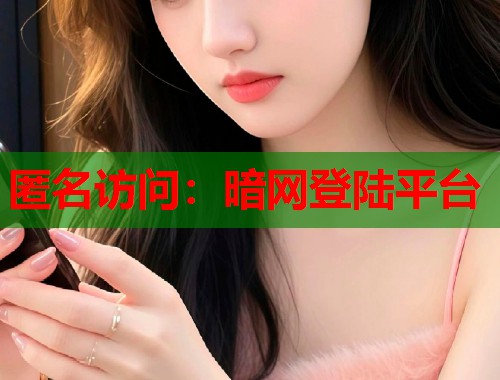 匿名访问：暗网登陆平台