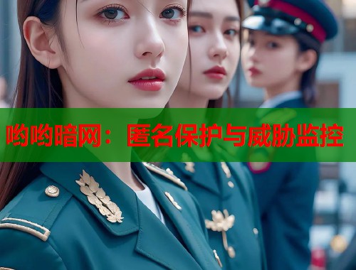 哟哟暗网：匿名保护与威胁监控  第1张