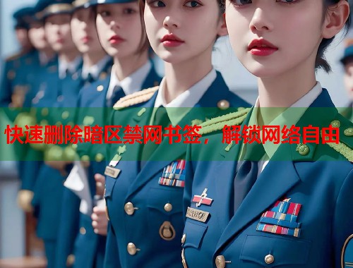 快速删除暗区禁网书签，解锁网络自由  第2张
