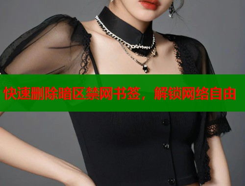 快速删除暗区禁网书签，解锁网络自由