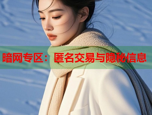 暗网专区：匿名交易与隐秘信息