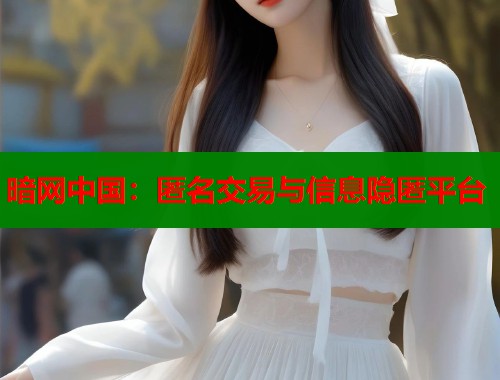 暗网中国：匿名交易与信息隐匿平台