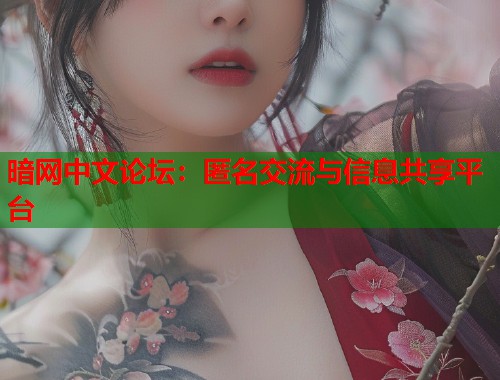 暗网中文论坛：匿名交流与信息共享平台  第1张