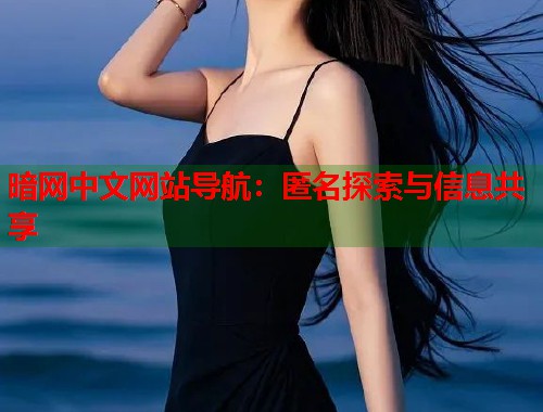 暗网中文网站导航：匿名探索与信息共享  第1张