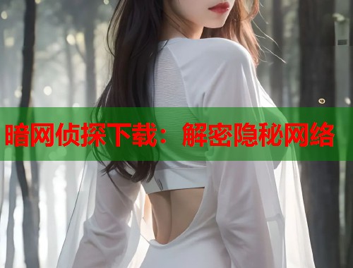 暗网侦探下载：解密隐秘网络
