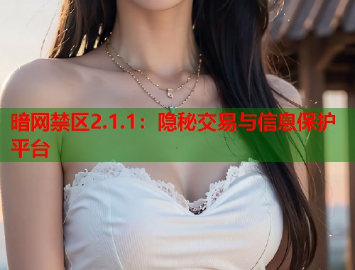 暗网禁区2.1.1：隐秘交易与信息保护平台
