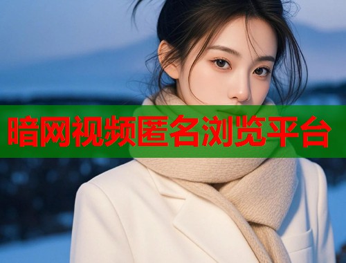 暗网视频匿名浏览平台  第2张