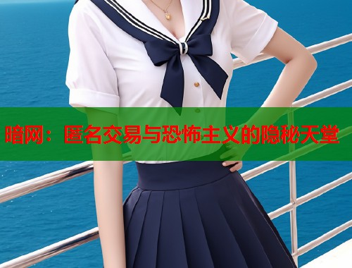 暗网：匿名交易与恐怖主义的隐秘天堂
