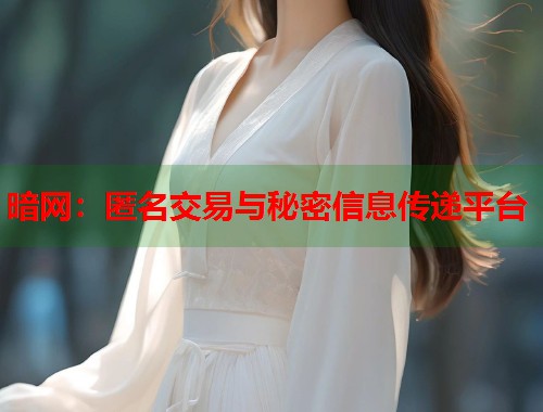 暗网：匿名交易与秘密信息传递平台  第2张