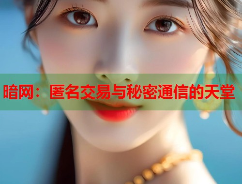 暗网：匿名交易与秘密通信的天堂
